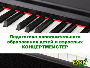 Педагогика дополнительного образования детей и взрослых. Концертмейстер