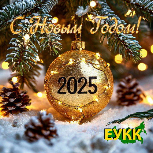 С Новым годом, дорогие Клиенты!