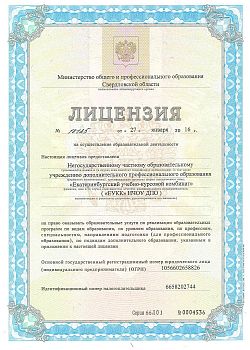 Лицензия 1