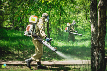 На какие вопросы получим ответ, в теоретическом курсе по профессии «Дезинфектор»?